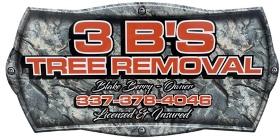 Logo for 3 B S TREE REMOVAL LLC